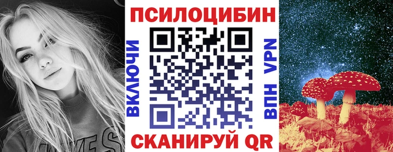 Купить  Фокино  Галлюциногенные грибы GOLDEN TEACHER 